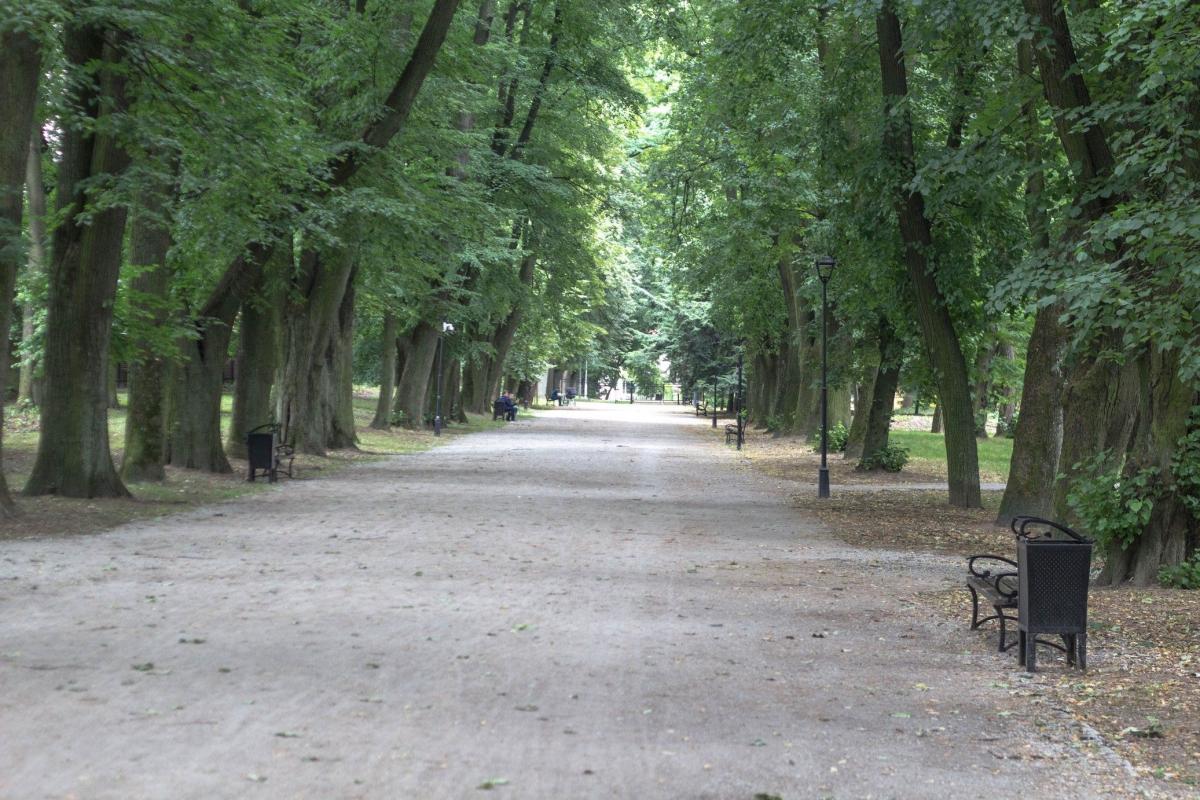 Drzewa wycięto m.in. w parku miejskim.<br/>fot.Bartłomiej Pacek