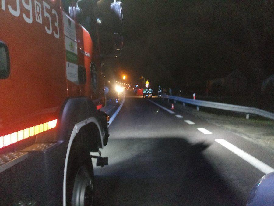 Do zdarzenia doszło już po zmroku na odcinku drogi krajowej nr 9 relacji Kolbuszowa – Rzeszów. <br/>fot.KPP Kolbuszowa