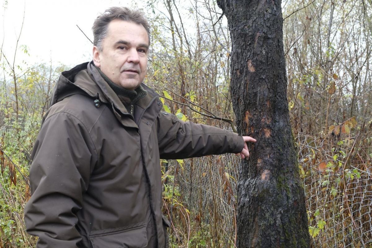 – Po wizycie niedźwiedzia pozostało mi tylko pozbierać ramki porozrzucane dookoła – mówi Krzysztof Kielar.<br/>fot.Jacek Szwic