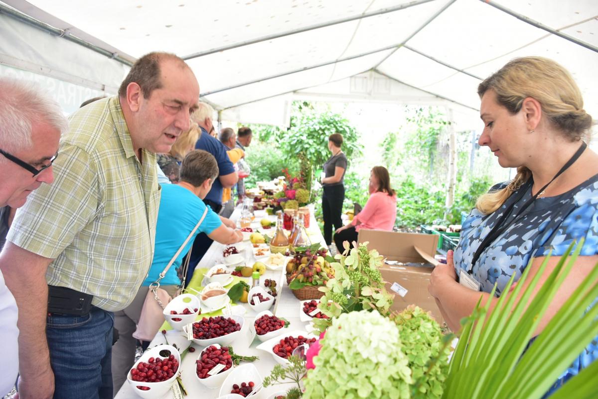 Produkty z derenia –głównego bohatera festiwalu – wypełniały po brzegi każdy stół, a zainteresowanych kupnem nie brakowało.<br/>fot.Miłosz Wilgucki