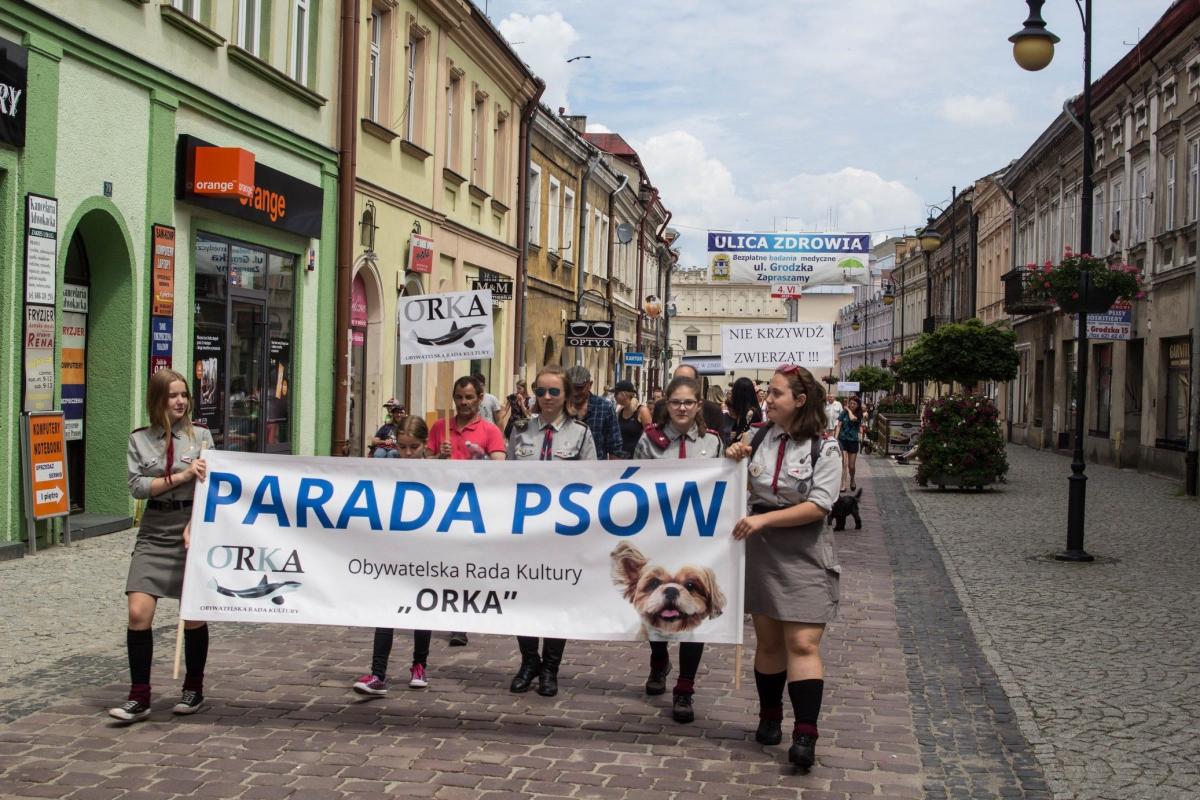 W paradzie podział na rasy nie miał żadnego znaczenia. Ważne było zamanifestowanie sprzeciwu wobec krzywdzenia zwierząt.<br/>fot.Bartłomiej Pacek
