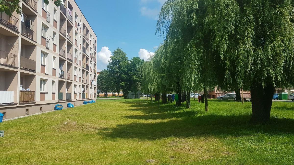 Miejsce, w którym planowana jest budowa garaży.<br/>fot.Tomasz Mielnik
