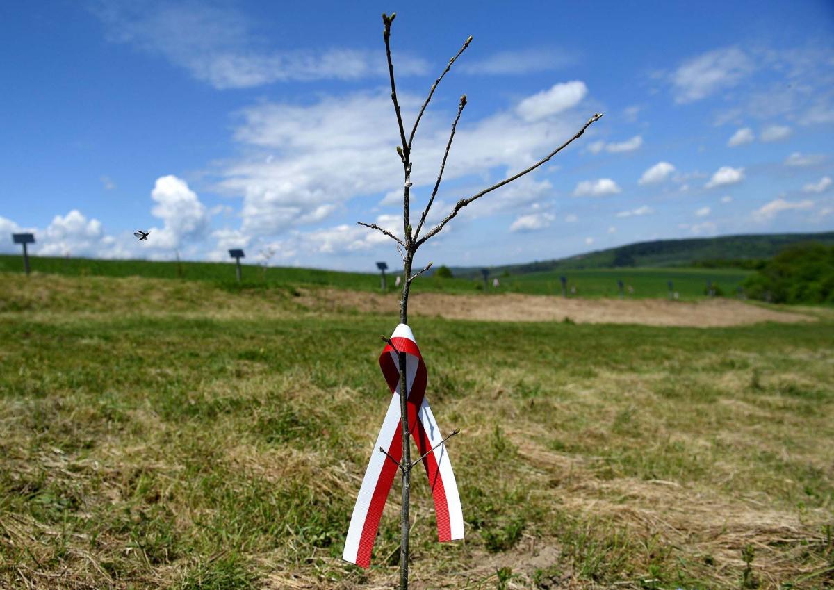 Przy każdym drzewku znalazła się tabliczka z imieniem i nazwiskiem upamiętnionego. <br/>fot.zbiory własne