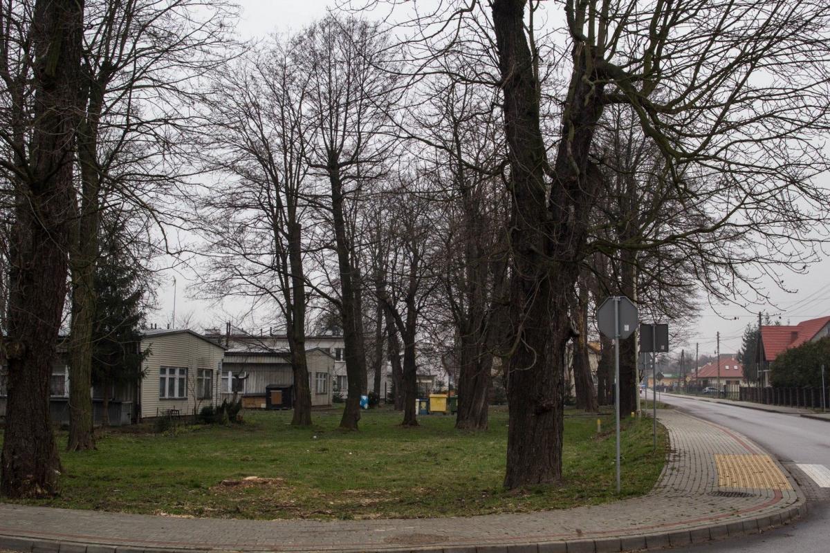 Na rogu Kasztanowej i Niepodległości ślady po połamanych drzewach wciąż są wyraźne.<br/>fot.Bartłomiej Pacek