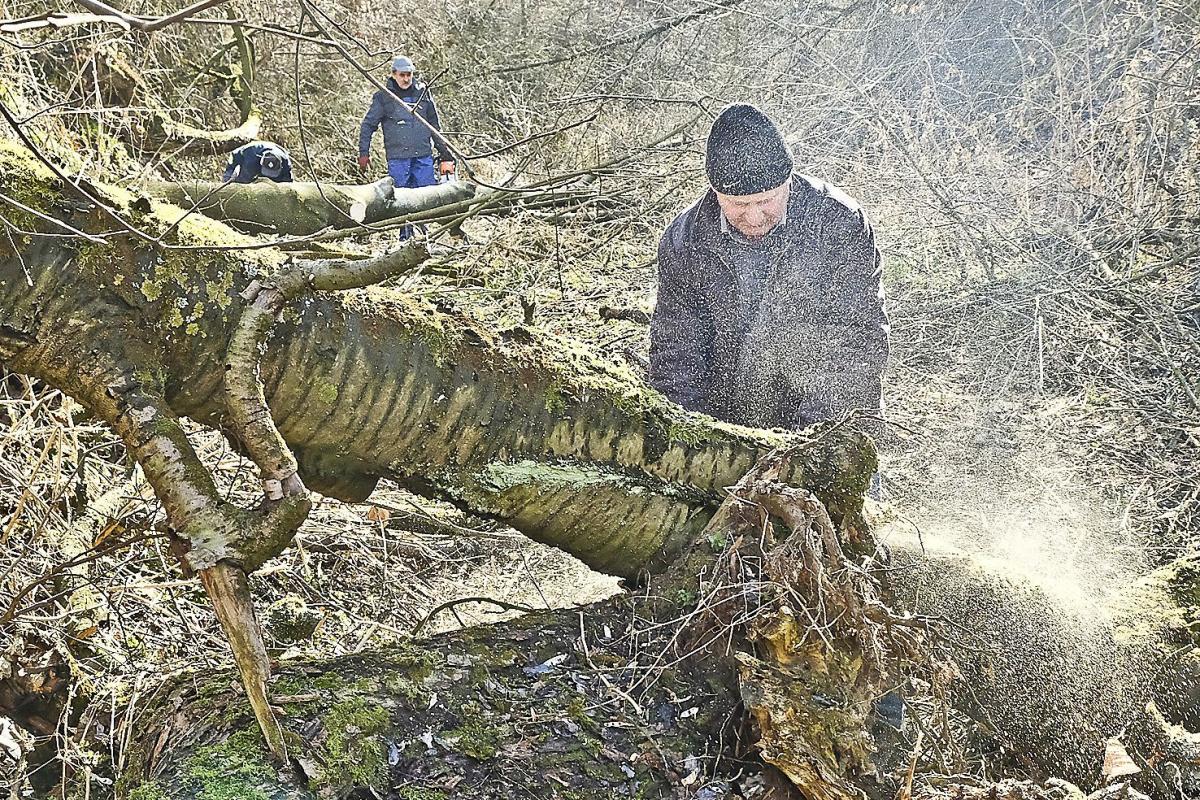 Najcięższą pracą było usuwanie drzew powalonych przez wiatr. <br/>fot.Jacek Szwic