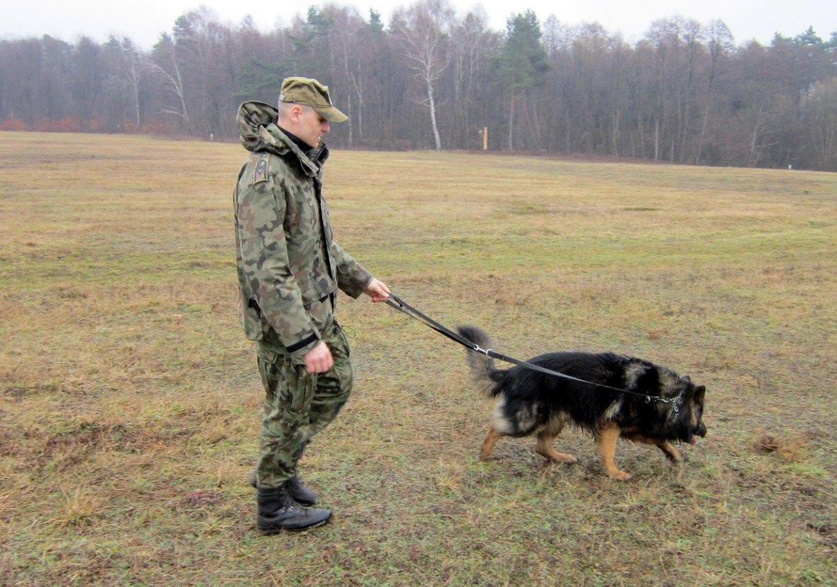 <br/>fot.archwium policji