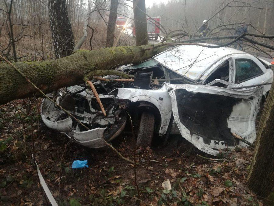 Wypadek miał miejsce tuż po godz. 6 rano, na drodze wiodącej przez tereny leśne w Żołyni.

<br/>fot.KPP Łańcut