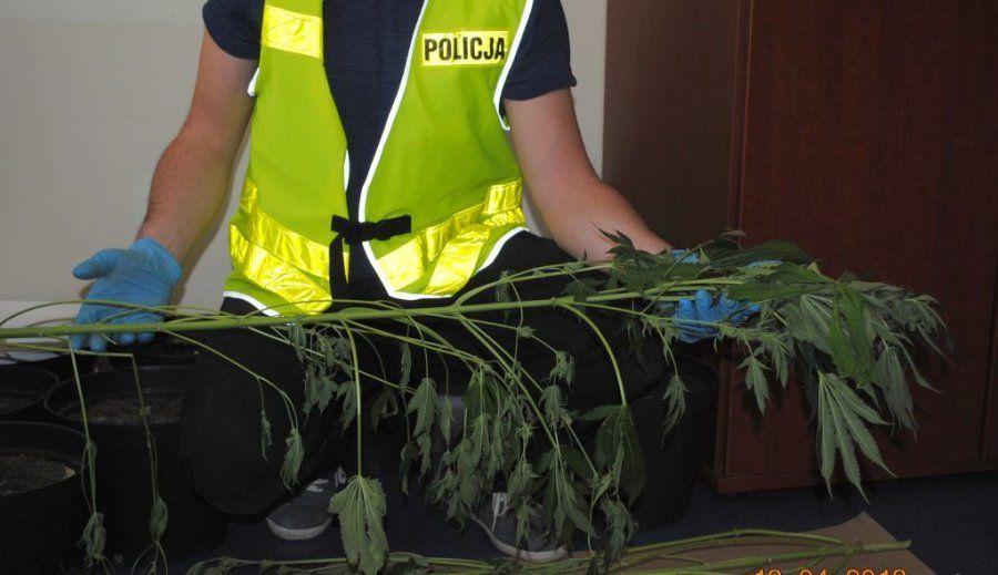 <br/>fot.archiwum policji