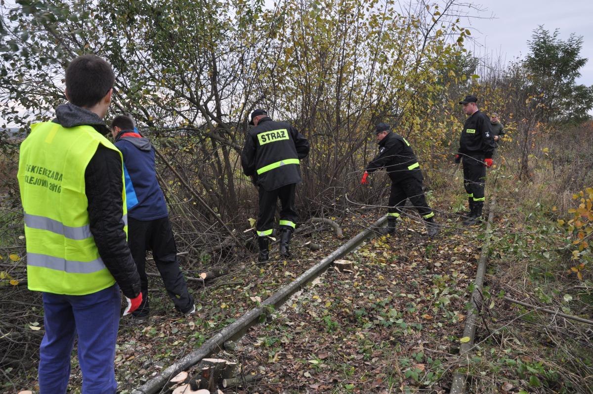 Prace porządkowe przy tej linii zostały już wykonane przez ludzi ze Stowarzyszenia Linia 102 z Przemyśla, przy pomocy pracowników PKP PLK.<br/>fot.Paweł Bugira