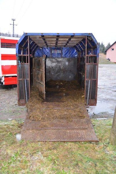 Pojazd nie był przystosowany do transportu takiej liczby zwierząt.<br/>fot.KMP Krosno