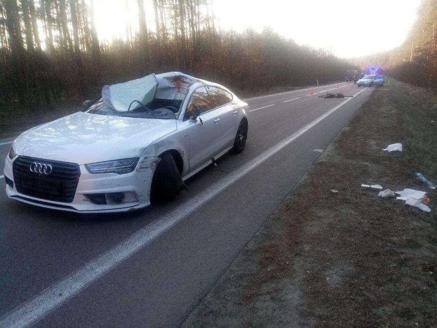 Kierujący audi, chcąc uniknąć zderzenia z łanią, uderzył w jadącego z przeciwnego kierunku forda. <br/>fot.KPP Kolbuszowa