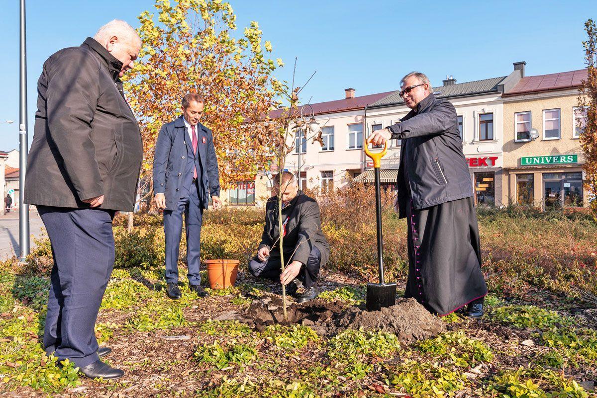 Sadzenie dębu 100-lecia niepodległości.<br/>fot.Tomasz Mielnik