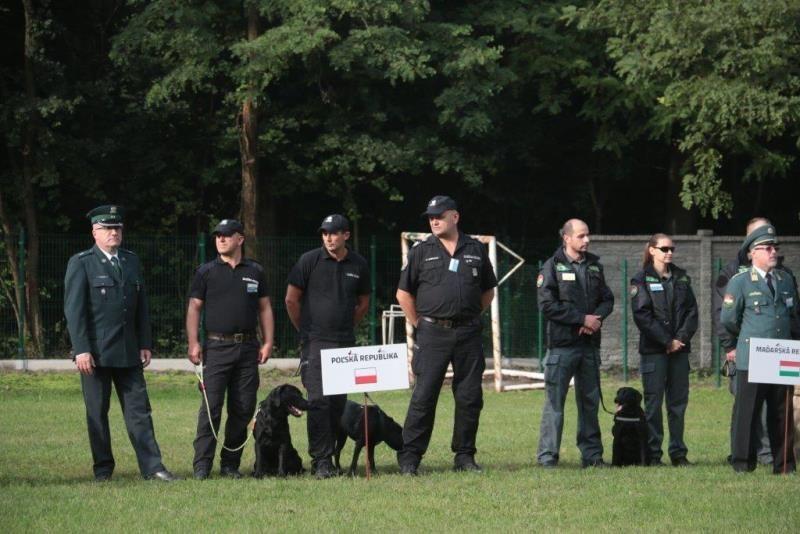 6-letnia labradorka Gina służy w podkarpackiej Służbie Celno-Skarbowej od 4 lat. <br/>fot.KAS 