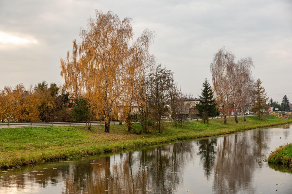 W tym miejscu powstanie Strefa Odpoczynku „Zbiornik Młyn”.<br/>fot.Tomasz Mielnik