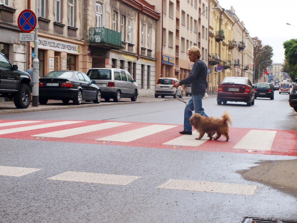 Pieszy aktywuje do świecenia sygnał ostrzegawczy. Ten jest emitowany dopóki pieszy znajduje się na przejściu. Dzięki takiemu rozwiązaniu kierowca zwraca większą uwagę na to, co dzieje się na „pasach”, przed którymi znajduje się sześć świateł LED, wbudowanych w jezdnię.<br/>fot.Mariusz Godos