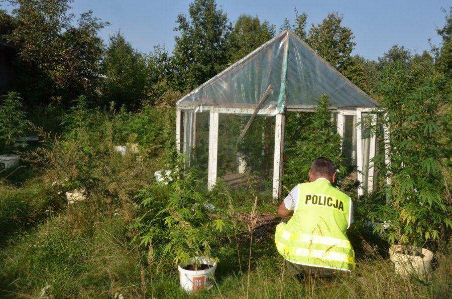 <br/>fot.Komisariat Policji Sokołów Małopolski