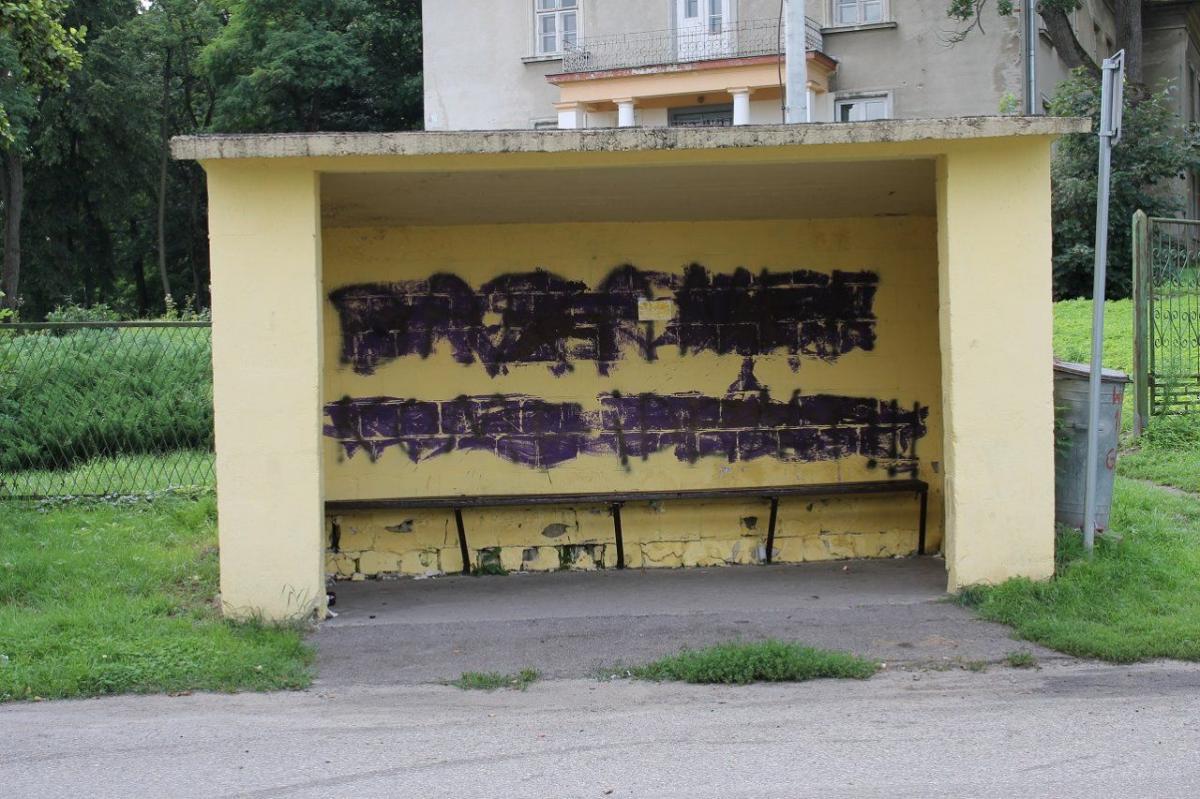 Wiaty przystankowe są ważne dla tutejszej społeczności. To miejsca, gdzie spotyka się młodzież, tu tworzą się różne historie.<br/>fot.www.chlopice.pl