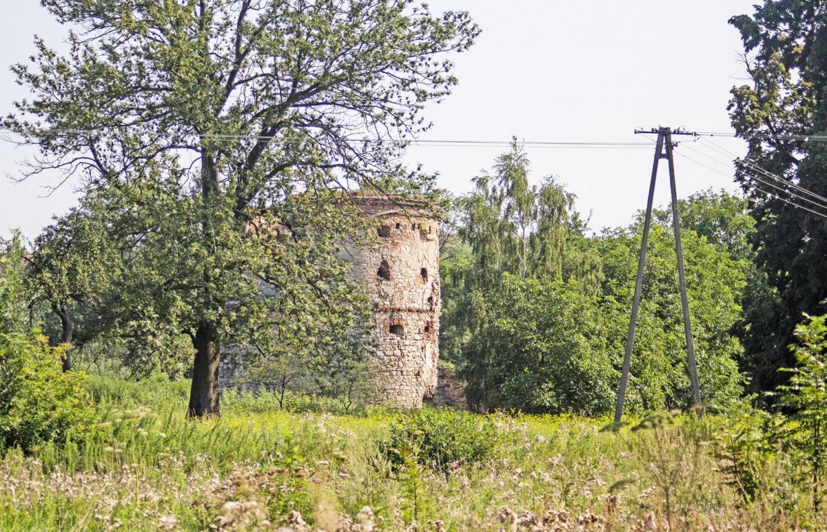 Baszta jest otoczona dziką roślinnością. Choć stoi w pobliżu ruchliwej drogi, trudno ją wypatrzeć. To może się zmienić już wkrótce.<br/>fot.Bartłomiej Pacek