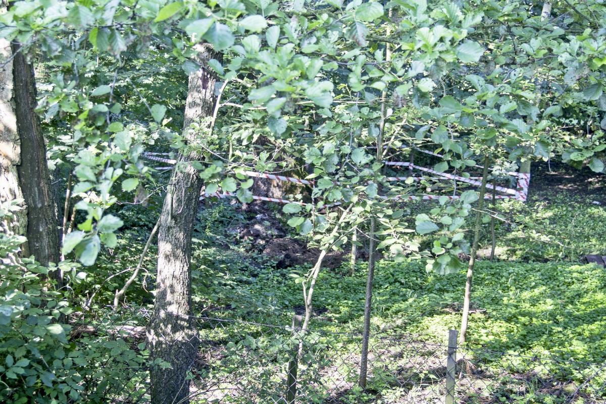 Do rozszczelnienia doszło na podwórku jednej z posesji.<br/>fot.Bartłomiej Pacek