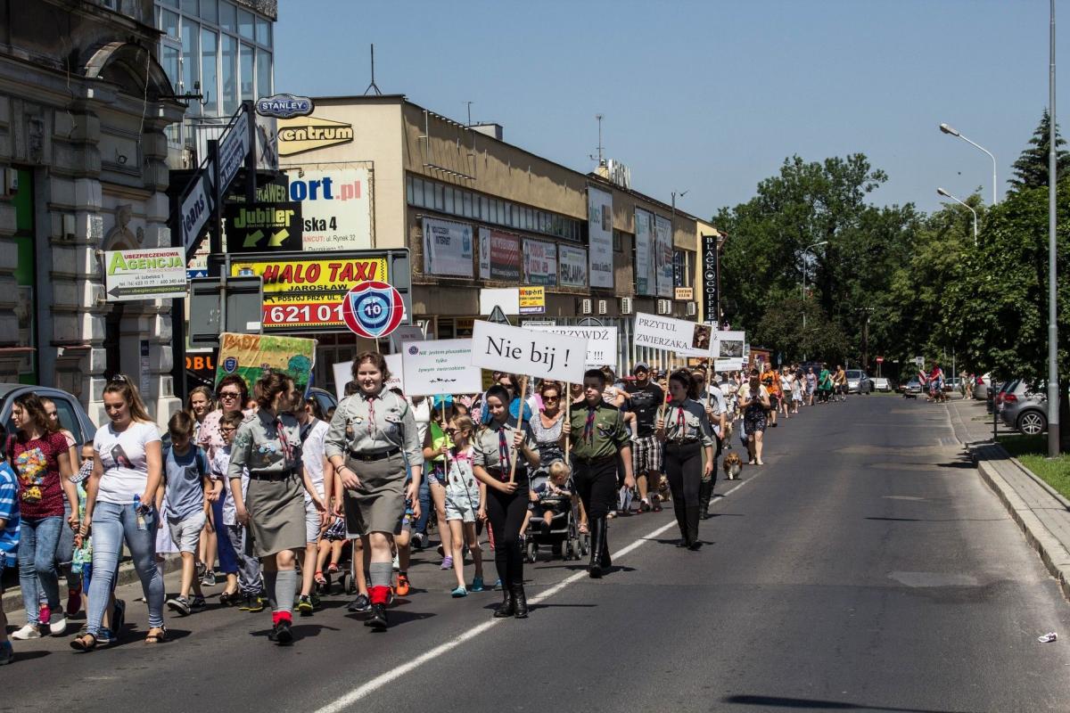 Liczba uczestników przerosła oczekiwania organizatorów. Przeciw przemocy wobec zwierząt protestowało około 500 osób.<br/>fot.Bartłomiej Pacek
