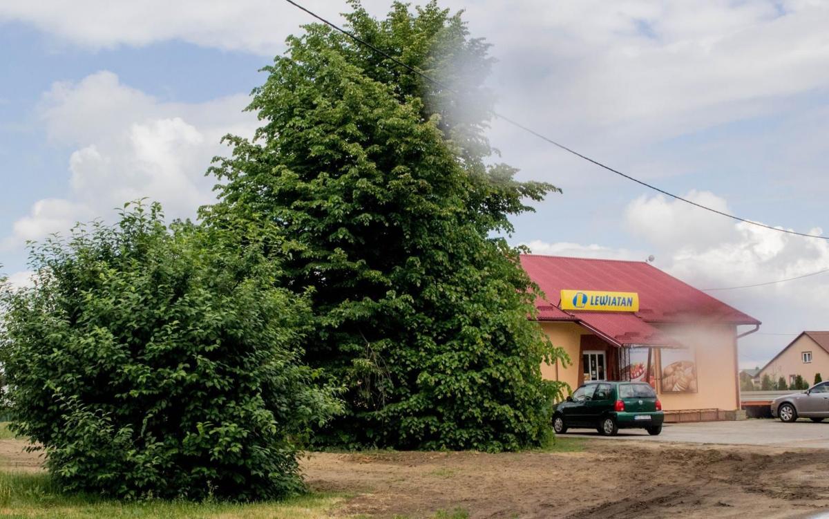 Do zdarzenia doszło w okolicy sklepu w Czerwonej Woli.<br/>fot.Bartłomiej Pacek