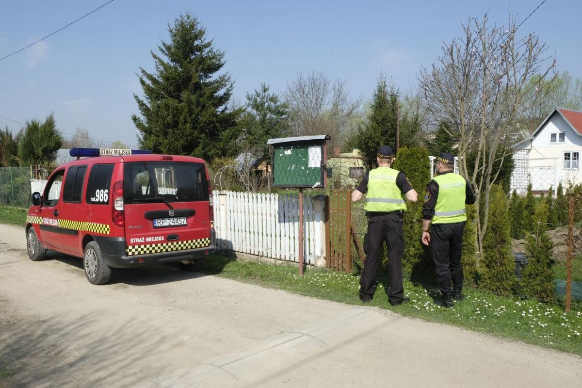 Strażnicy miejscy często bywają na działkach i reagują na każde nieprawidłowości.  <br/>fot.Jacek Szwic