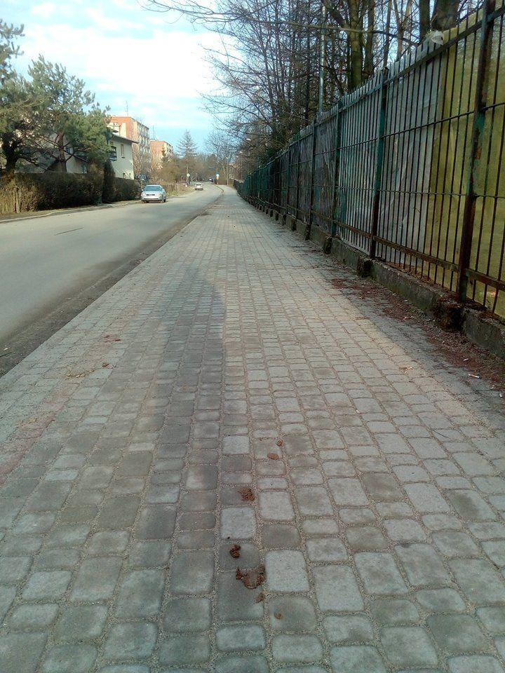 Psie kupy są normą na chodnikach przy ulicy Konfederackiej i Raszyńskiej. <br/>fot.Monika Maj-Lichończak