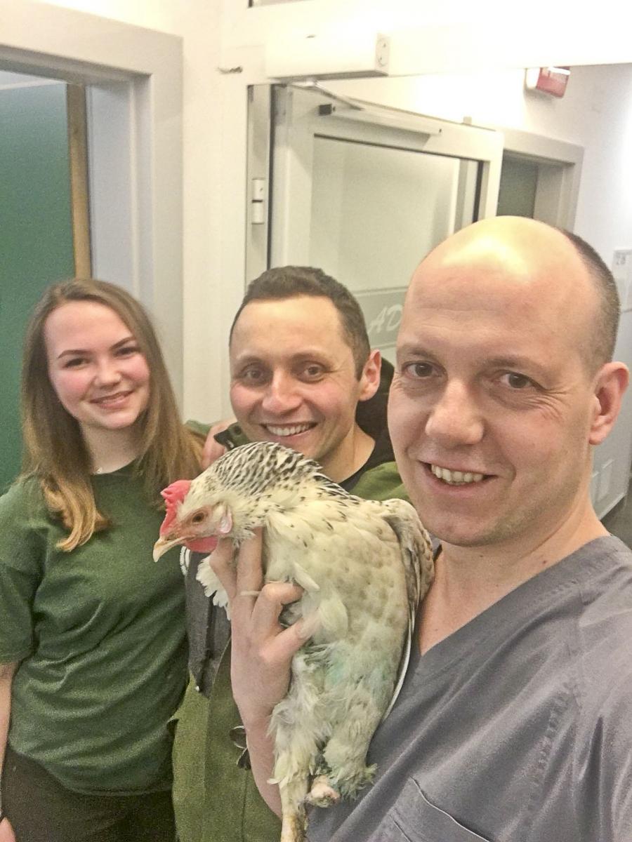 Historia Teofili na tyle poruszyła dra Radosława Fedaczyńskiego, że ten wraz z załogą postanowił jej pomóc.<br/>fot.ze zbiorów lecznicy dla zwierząt Ada