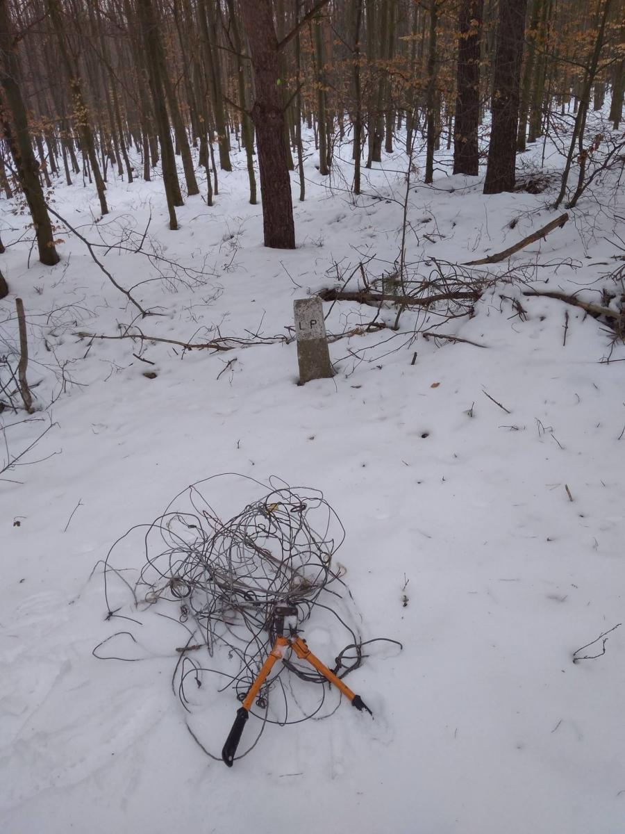 <br/>fot.Nadleśnictwo Lubaczów