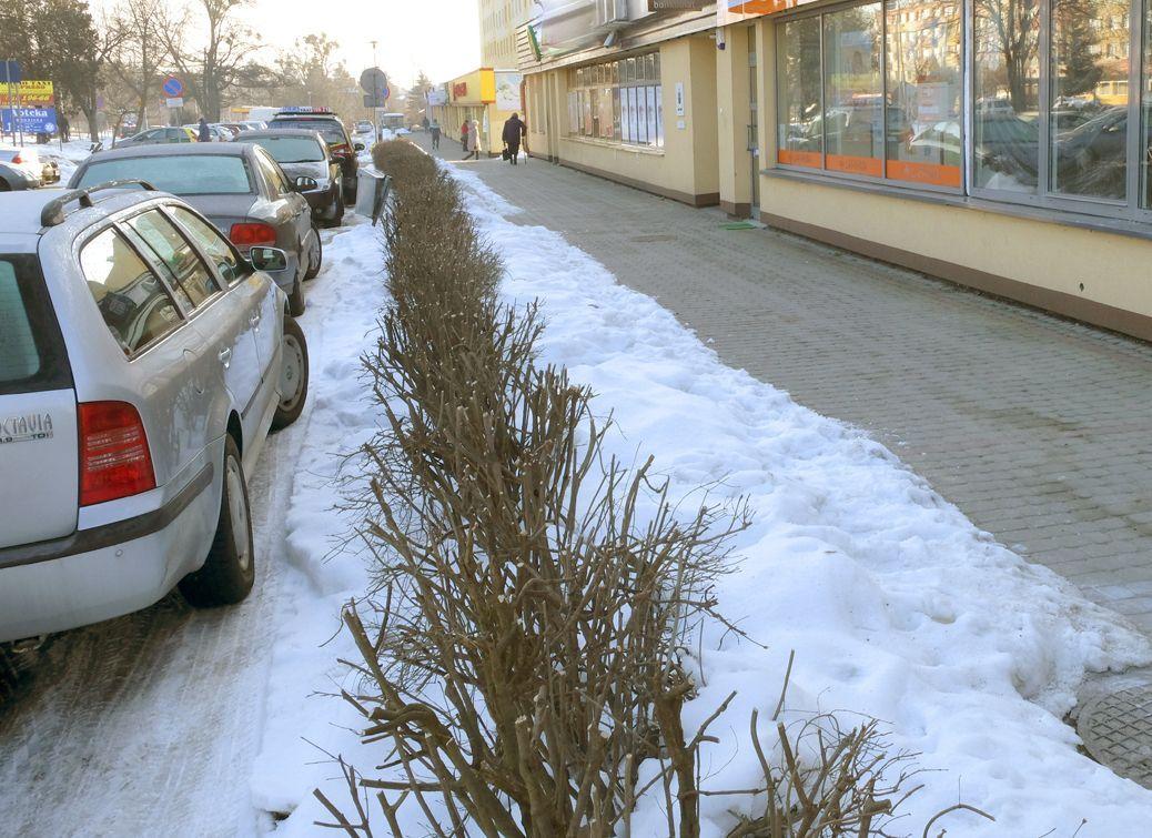 W tym miejscu zauważono ekshibicjonistę.<br/>fot.Jacek Szwic