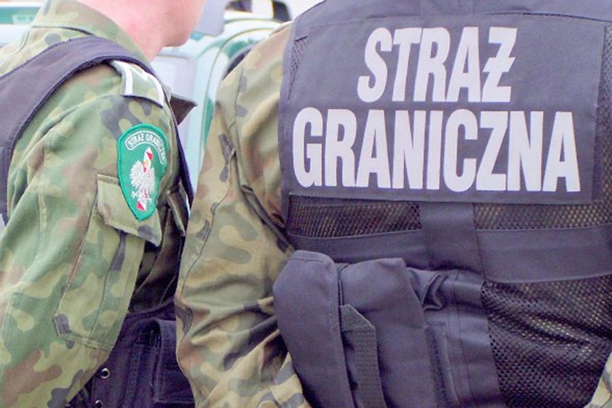 <br/>fot.zbiory własne