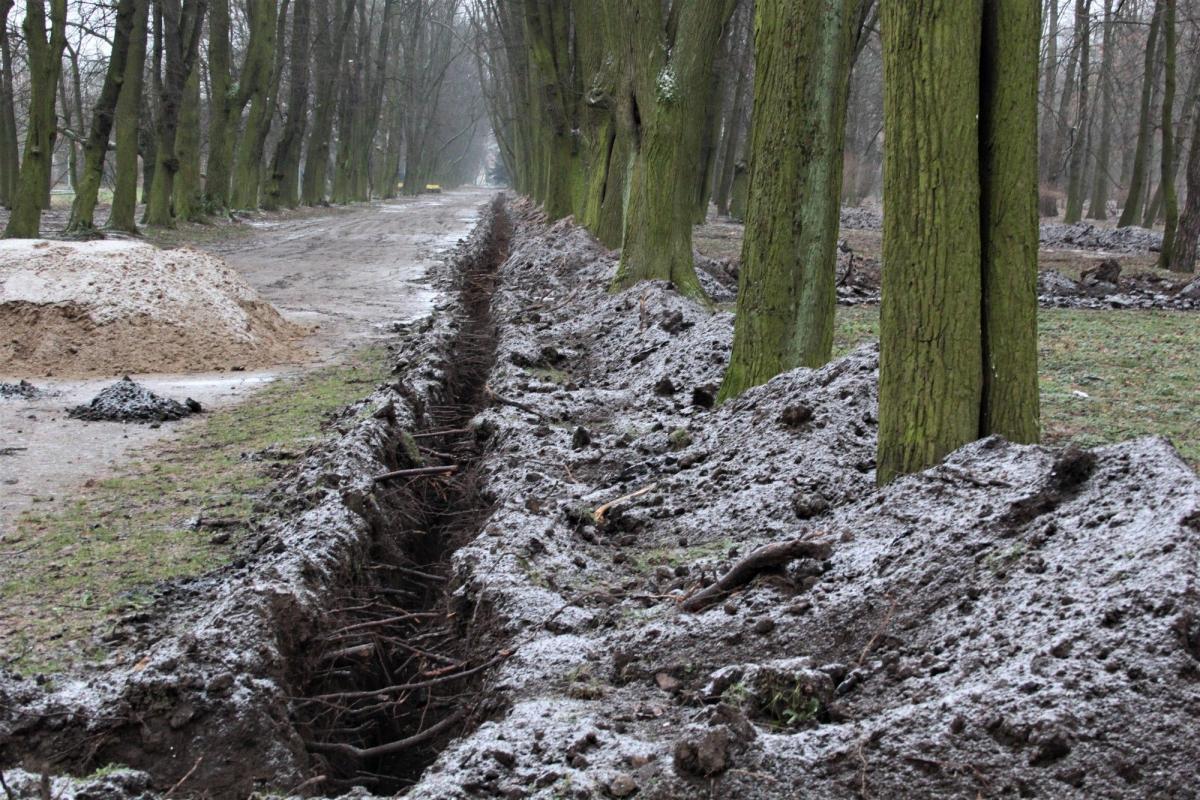 W ramach tworzenia „Eskapad na książęcym szlaku” zrobili z parku miejskiego pobojowisko. Czy te drzewa przetrwają?<br/>fot.Roman Kijanka