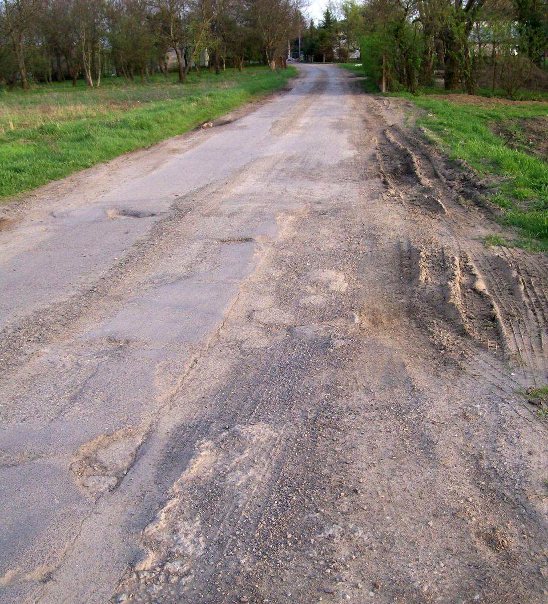 Stan nawierzchni czterech ulic w dzielnicy Przekopana wymaga szybkiej interwencji. Najlepiej gruntownego remontu. Co z tego, skoro w mieście nie ma na to pieniędzy.<br/>fot.ze zbiorów własnych