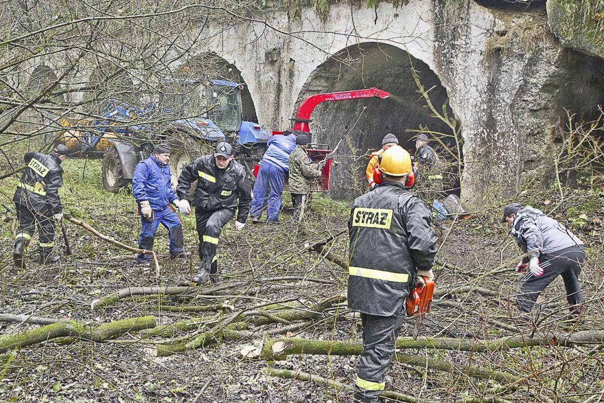 Po godzinie pracy dżungla ustępowała.<br/>fot.Jacek Szwic