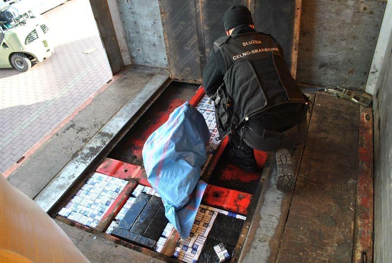 Pod ładunkiem rzepaku celnicy znaleźli łącznie 2302 paczki papierosów.<br/>fot.zbiory własne