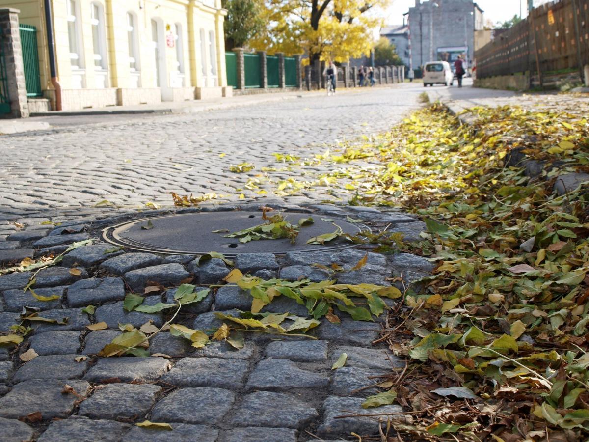 Stan nawierzchni ulicy Mariackiej w Przemyślu najwidoczniej zadowala przemyskich urzędników, bo nie ma planów odnośnie jej remontu. Najpewniej żaden z nich tamtędy za często nie jeździ...<br/>fot.Mariusz Godos