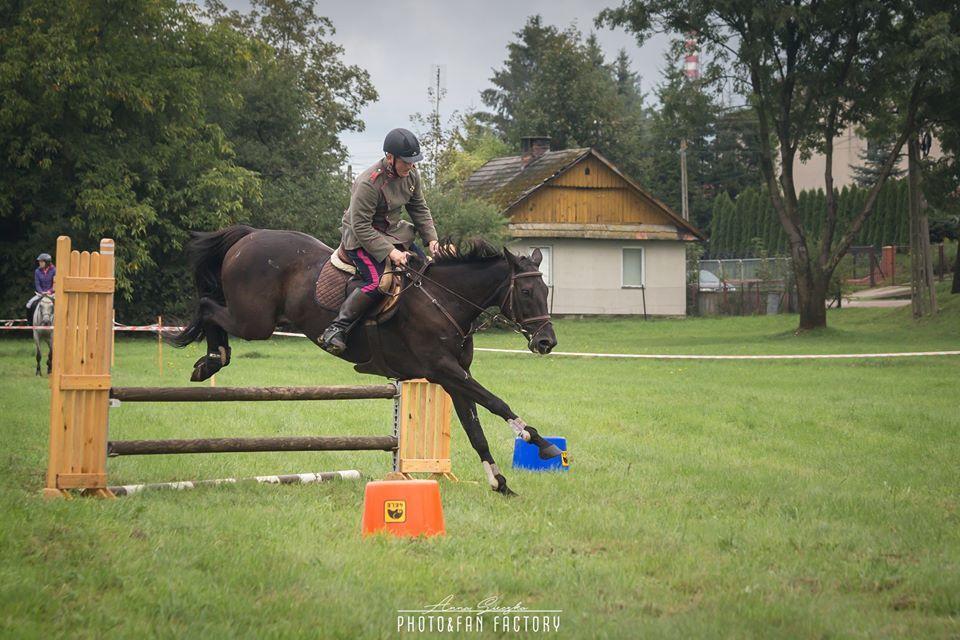 <br/>fot.Anna Sieczka