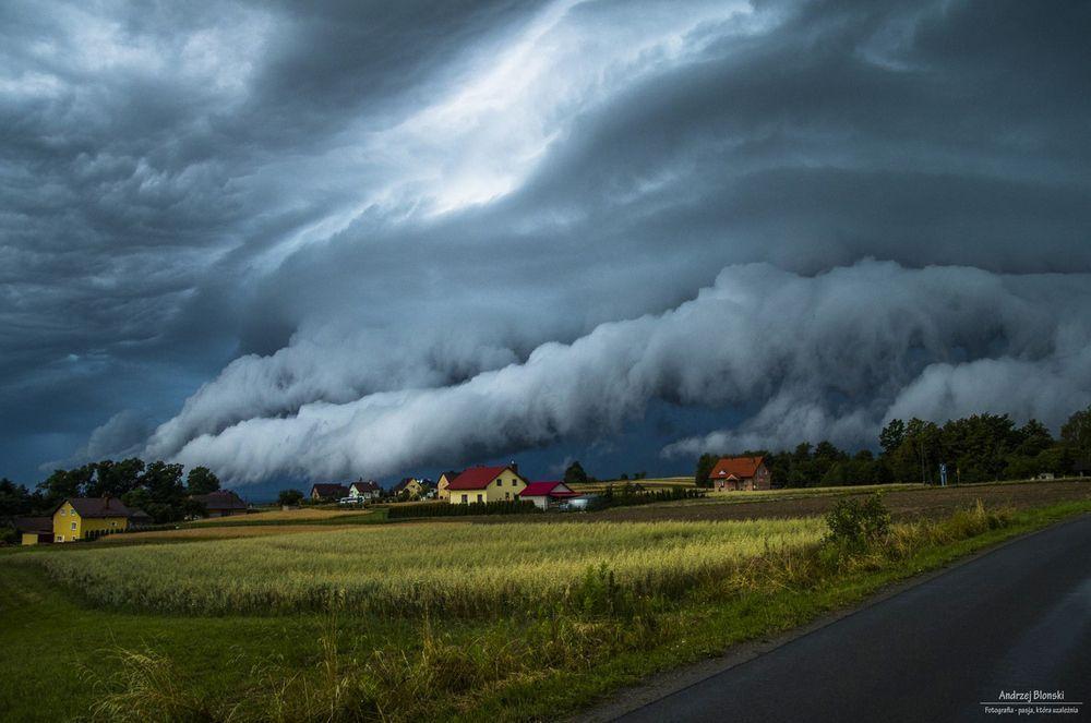 Burza nad Grzegorzówką (09.07.2016 r.). Chmura szkwałowa (shelf) była wyjątkowo nisko zawieszona nad ziemią. To za sprawą wilgotnego powietrza po przejściu pierwszej burzy i dzięki ukształtowaniu terenu.<br/>fot.Andrzej Błoński 