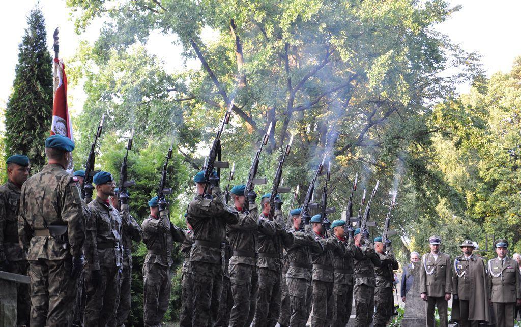 <br/>fot.Maciej J. Szeremeta