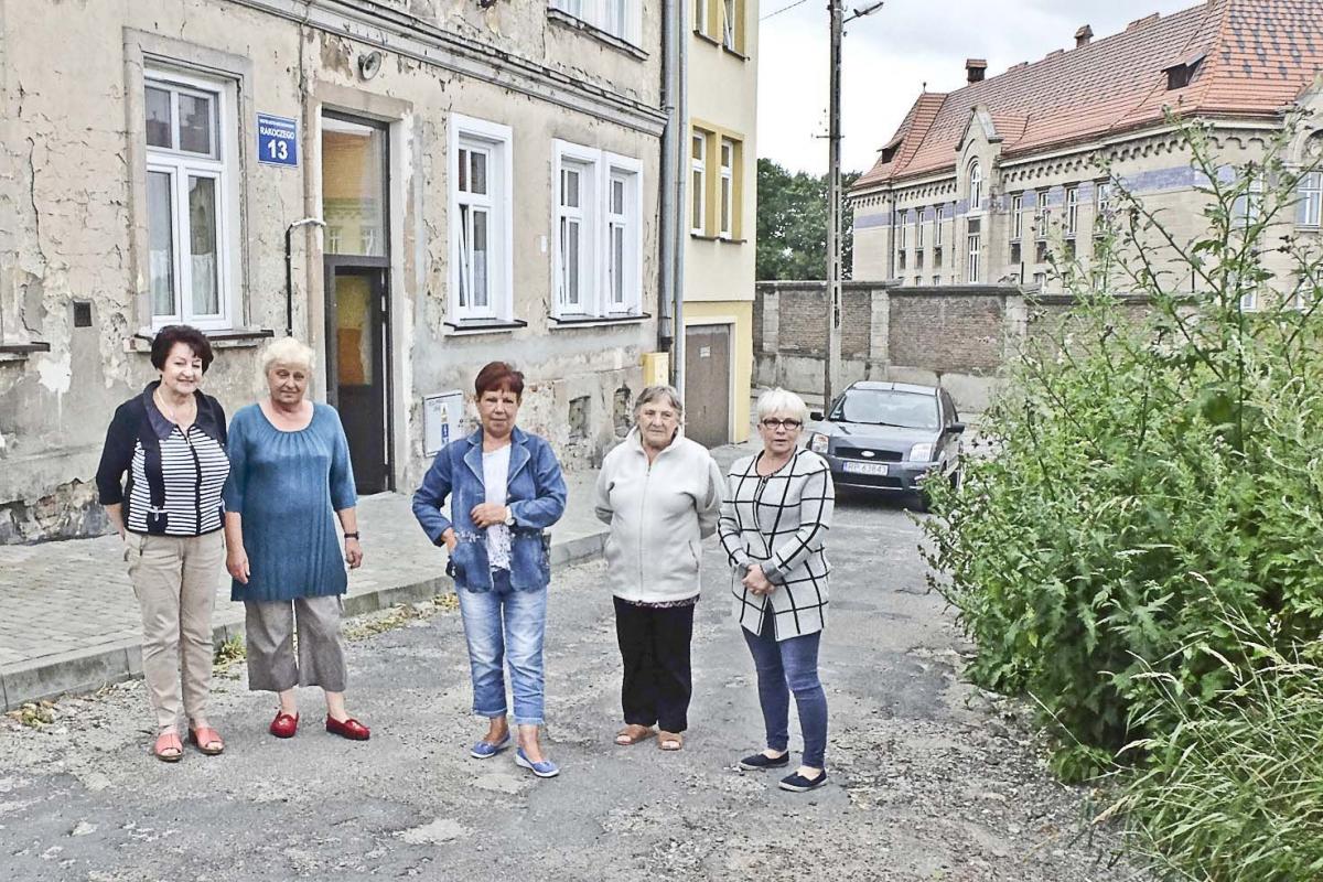 – Prawie pod oknami rośnie nam dżungla - – mówią mieszkanki kamienicy nr 13.<br/>fot.Jacek Szwic