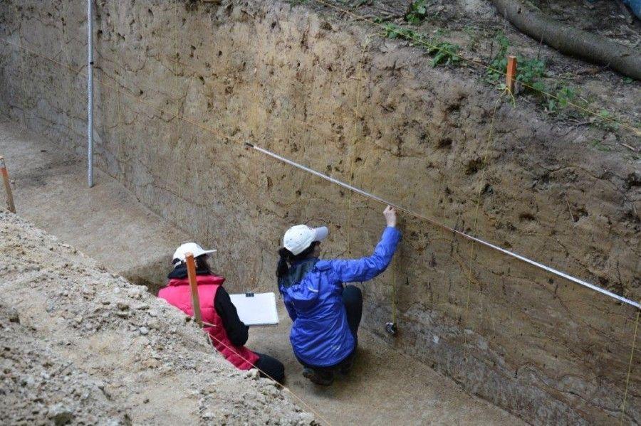 Rozpoczęte w ub. roku prace archeologiczne będą kontynuowane. Obecnie planowane jest dokończenie badań zolnika oraz przecięcie regularnym wykopem zniszczonego wału. Planowane są także badania geofizyczne całej powierzchni grodziska oraz badania wykopaliskowe na wybranych fragmentach majdanu.<br/>fot