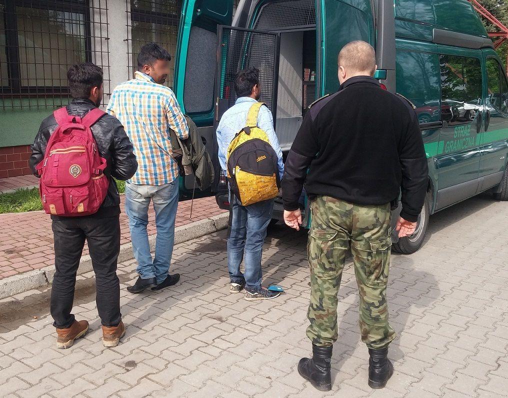 Od początku tego roku funkcjonariusze BiOSG zatrzymali 30 cudzoziemców, którzy nielegalnie przekroczyli zieloną granicę z Ukrainy do Polski w celach migracyjnych.<br/>fot.serwis BiOSG