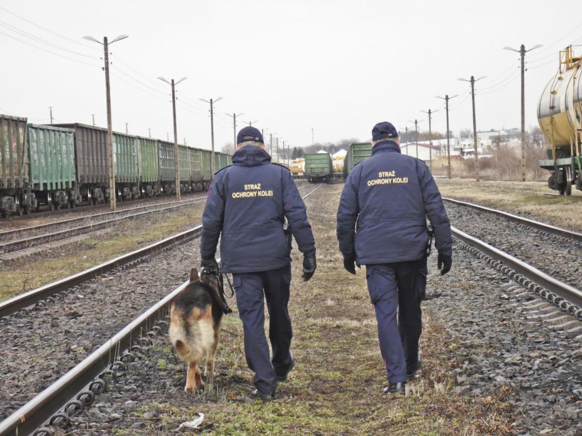 Patrol sokistów jest widziany z daleka, fotopułapkę bardzo trudno zauważyć.