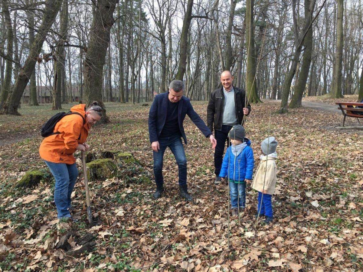 Akcję „Cała Polska Sadzi Drzewa” przeprowadzono w przeworskim parku.<br/>fot.Młodzi Demokraci Przeworsk