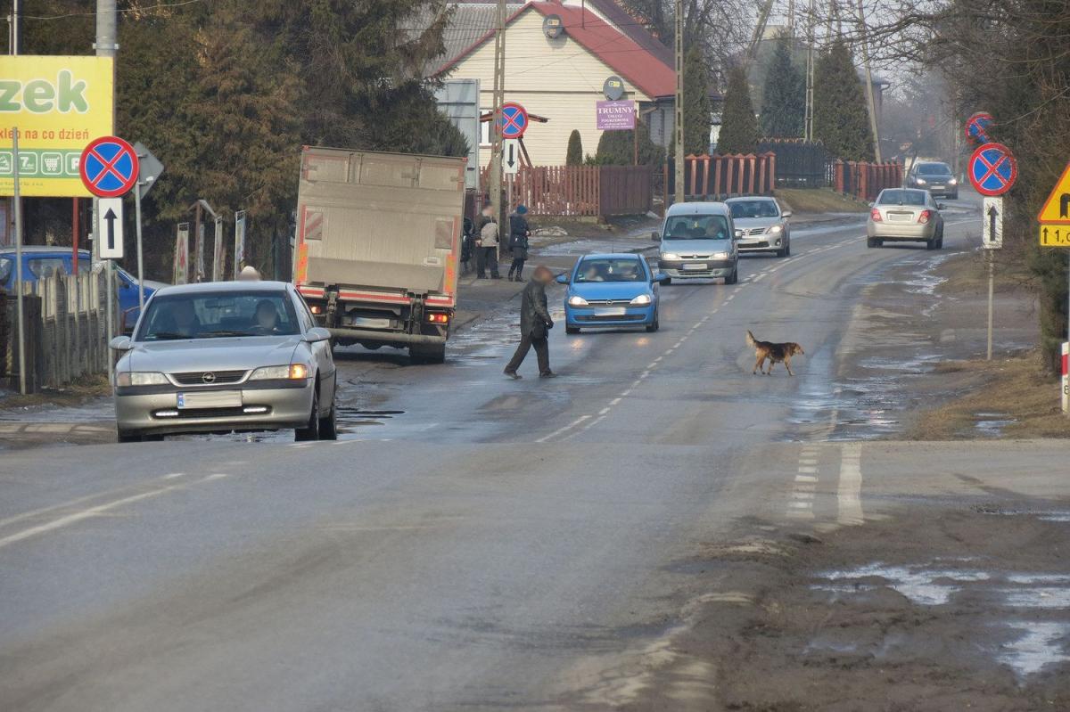 Aby odcinek drogi wojewódzkiej w obrębie sklepów był bezpieczny, o zachowaniu należytej ostrożności muszą pamiętać zarówno kierowcy, jak i piesi.<br/>fot.Barbara Chmura