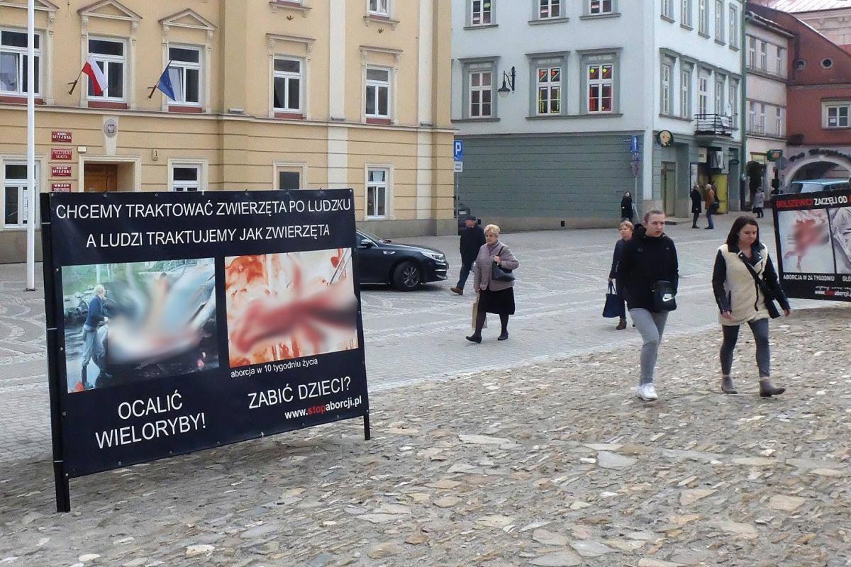<br/>fot.Jacek Szwic