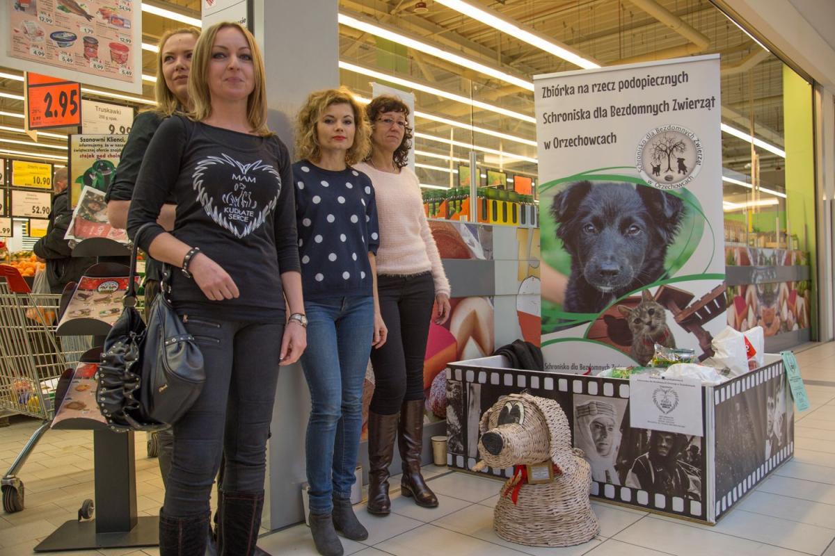 Członkowie Stowarzyszenia Kudłate Serce mają na swoim koncie rozmaite akcje na rzecz zwierząt – podopiecznych schroniska w Orzechowcach.<br/>fot.Kamil Jacek Zarański