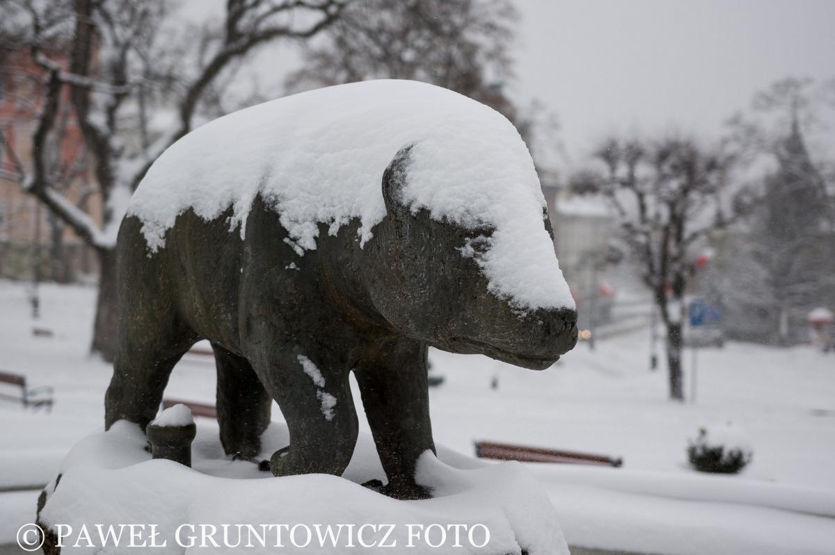 <br/>fot.Paweł Bugira