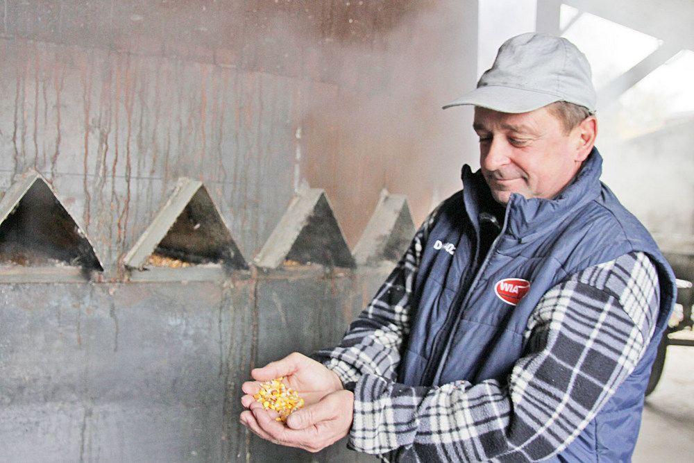 W gospodarstwie Dariusza Czereby w Pełkiniach suszarnia pracuje na pełnych obrotach. Schnie kukurydza, która później poczeka na lepsze ceny. <br/>fot.Roman Kijanka