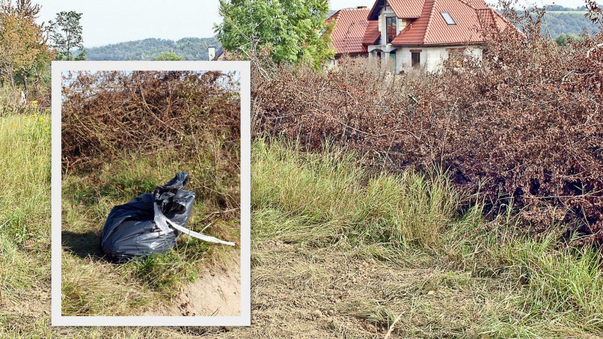 W miejscu, gdzie nie ma trawy, urzędnicy zakopali truchło ok. 30-kilogramowego kozła.<br/>fot.Mariusz Godos
